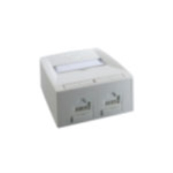Molex PN scatola 2 porte RJ45 CAT.6 Datagate