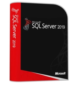 Microsoft SQL SERVER 2019 STANDARD 2 CORE 32/64 BIT KEY ESD prezzo ...