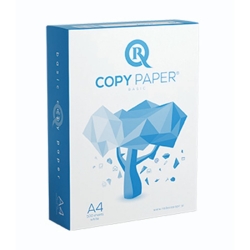 RCopy CARTA A4 BASIC 80 GRAMMI (REALI)