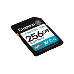  Marca non in elenco SECURE DIGITAL 256 GB CANVAS GO PLUS (SDG4/256GB) CLASS10 UHS-I U3 V30