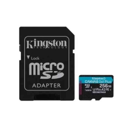 Kingston TRANS FLASH 256 GB CANVAS GO PLUS (SDCG4/256GB) CLASS 10 CON ADATTATORE