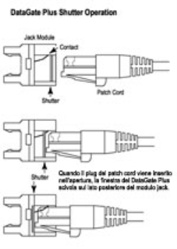 Molex PN Frutto RJ45 UTP Cat. 6 con cornice per placca MOLEX