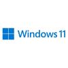 Microsoft SISTEMA OPERATIVO WINDOWS 11 PRO 64 BIT ITA (FQC-10538) DVD