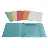  Marca non in elenco CARTELLE 3 LEMBI GR.220 (50 PEZZI) - VARI COLORI