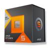 AMD CPU RYZEN 5 7500X3D AM5 4.5 GHZ (100-100001904WOF)